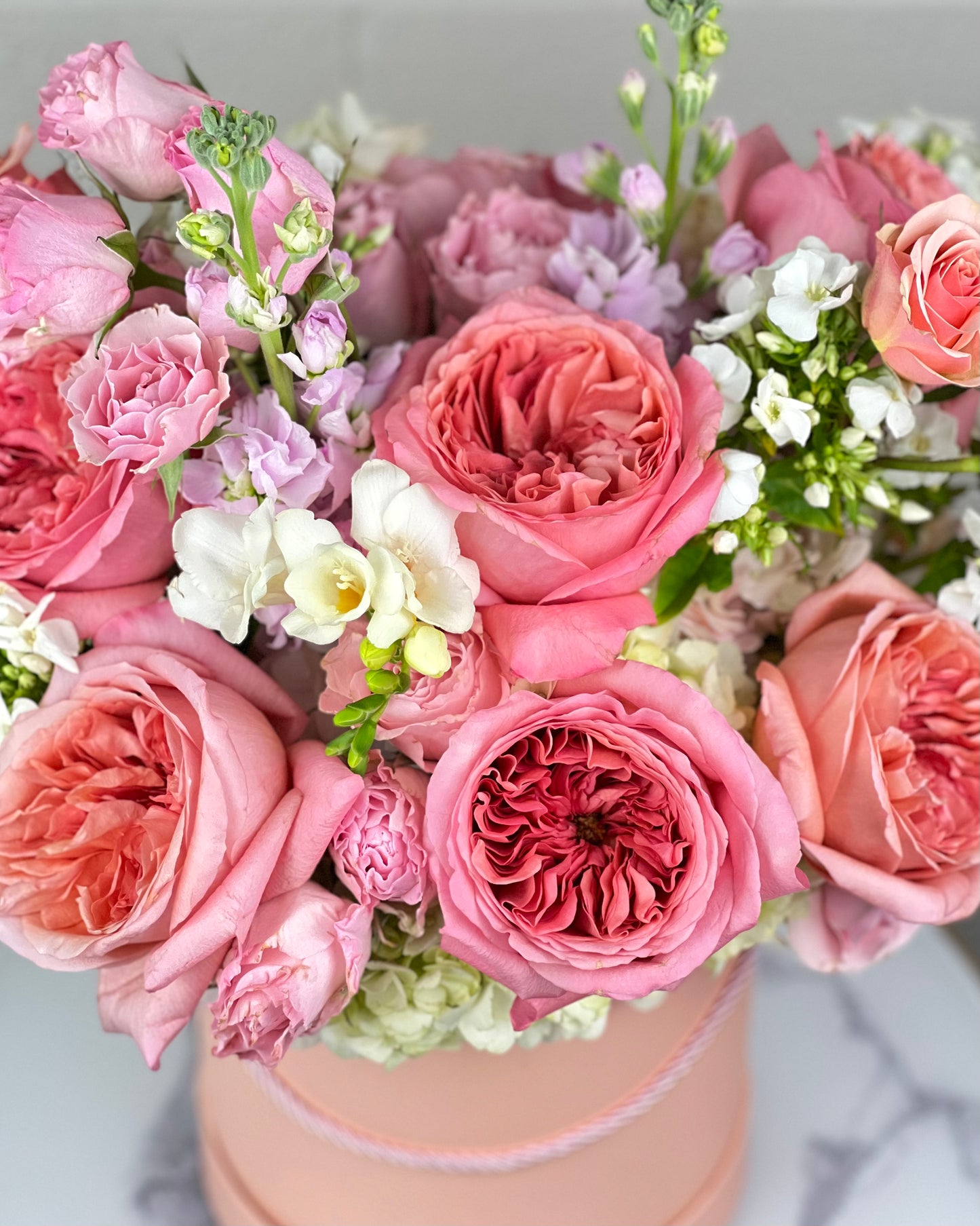 Flower Hat box Boston. Same Day Flower Delivery Boston, boston same day flower delivery, flower delivery boston same day, Florist Quincy, Quincy Flower Shop, Flower Delivery Boston, Quincy MA Florist, Quincy Flowers, Quincy Florist, Flowers Quincy, Flower Arrangement. Hat box. Flower Hat box Boston. Flower delivery Boston. Bouquet. Flower arrangement. Flower delivery Boston. Same Day Delivery. Flowers. Quincy Florist. Flower Delivery in Quincy. Flower Delivery Quincy MA, Same Day Flower Delivery Quincy MA