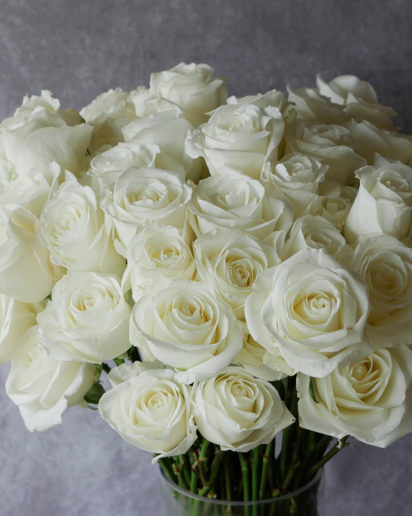 Roses. Flower Hat box Boston. Same Day Flower Delivery Boston, boston same day flower delivery, flower delivery boston same day, Florist Quincy, Quincy Flower Shop, Flower Delivery Boston, Quincy MA Florist, Quincy Flowers, Quincy Florist, Flowers Quincy, Flower Arrangement. Hat box. Flower Hat box Boston. Flower delivery Boston. Bouquet. Flower arrangement. Flower delivery Boston. Same Day Delivery. Flowers. Quincy Florist. Flower Delivery in Quincy. Flower Delivery Quincy MA,