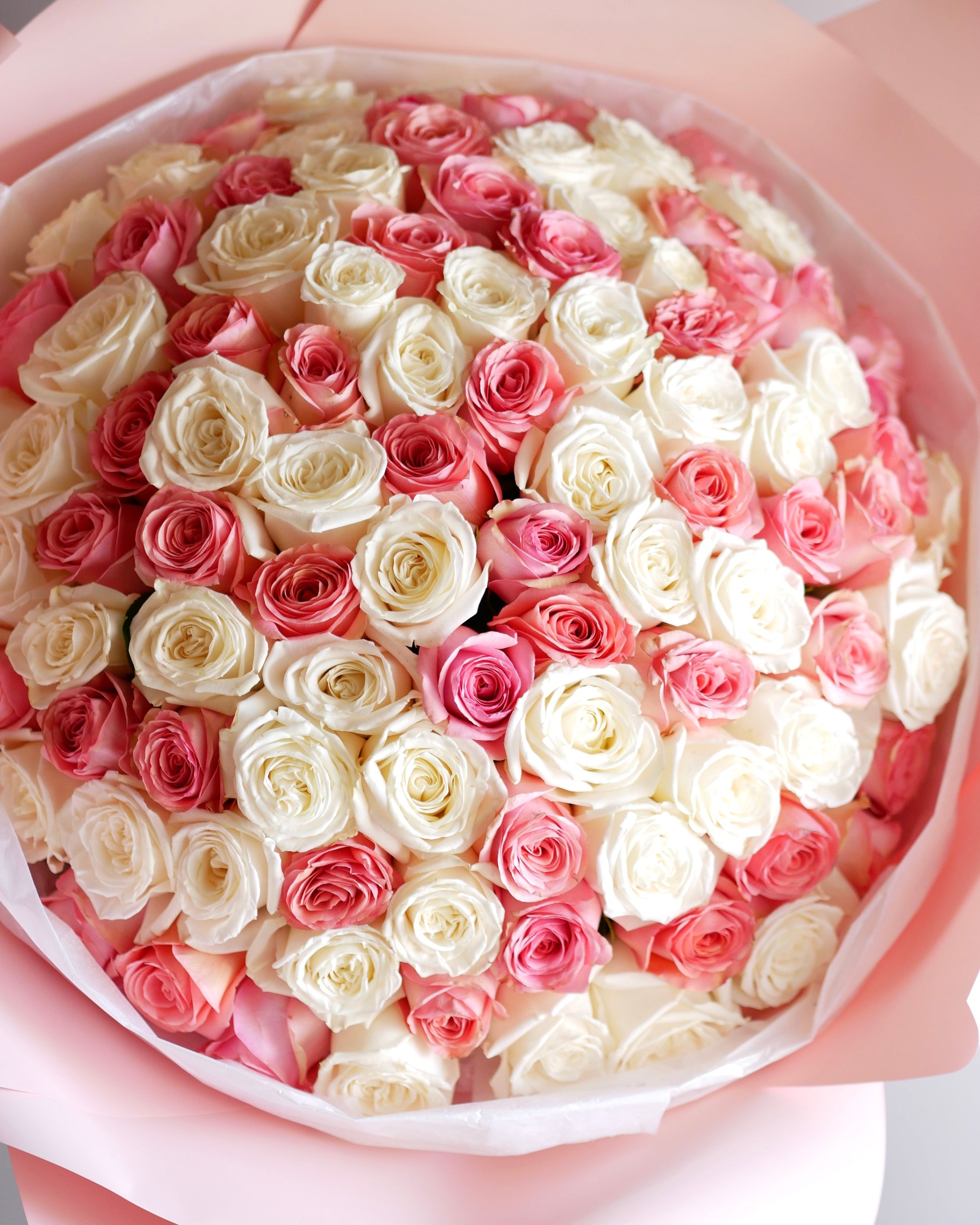  Roses. Flower Hat box Boston. Same Day Flower Delivery Boston,  boston same day flower delivery, flower delivery boston same day, Florist Quincy, Quincy Flower Shop, Flower Delivery Boston, Quincy MA Florist, Quincy Flowers, Quincy Florist, Flowers Quincy, Flower Arrangement. Hat box. Flower Hat box Boston. Flower delivery Boston. Bouquet. Flower arrangement. Flower delivery Boston. Same Day Delivery. Flowers. Quincy Florist. Flower Delivery in Quincy. Flower Delivery Quincy MA, 
