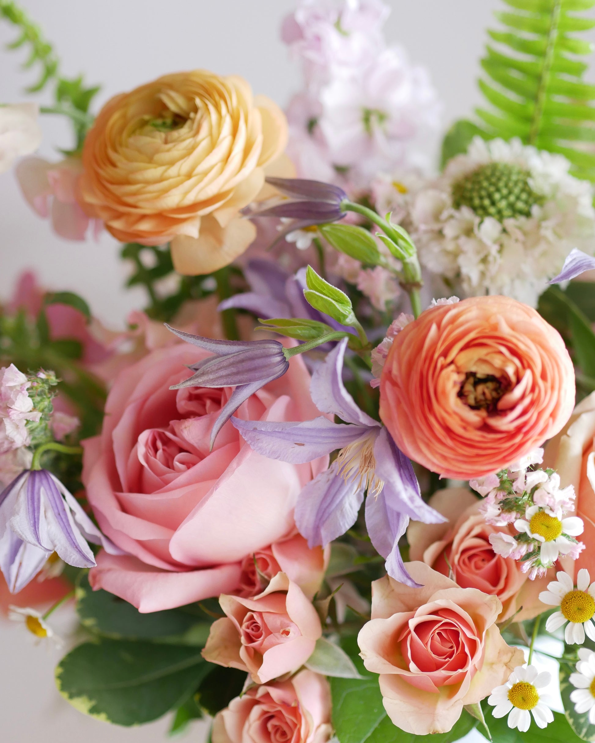 flower shop lavender Peach Lavender Fizz